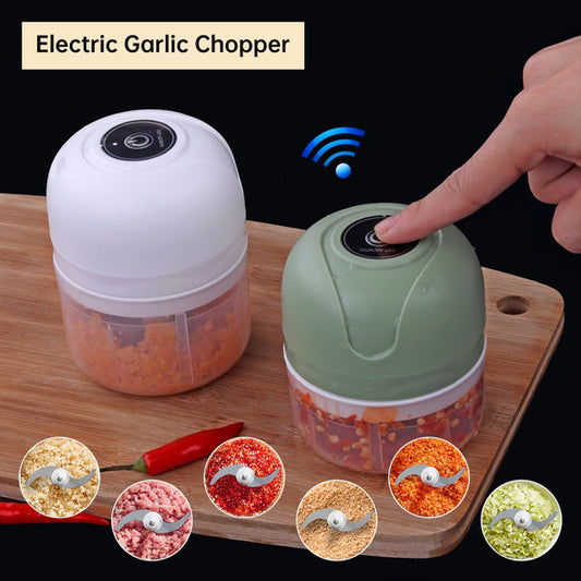 Electric Food Masher / Chopper
